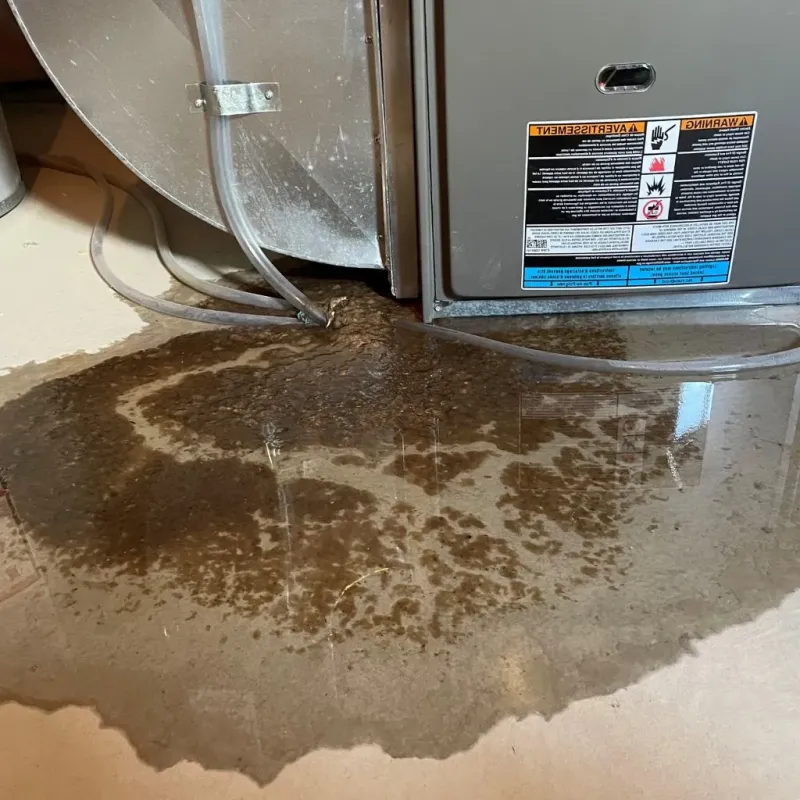 Pipe Burst and Leak Restoration in Sullivan, IN