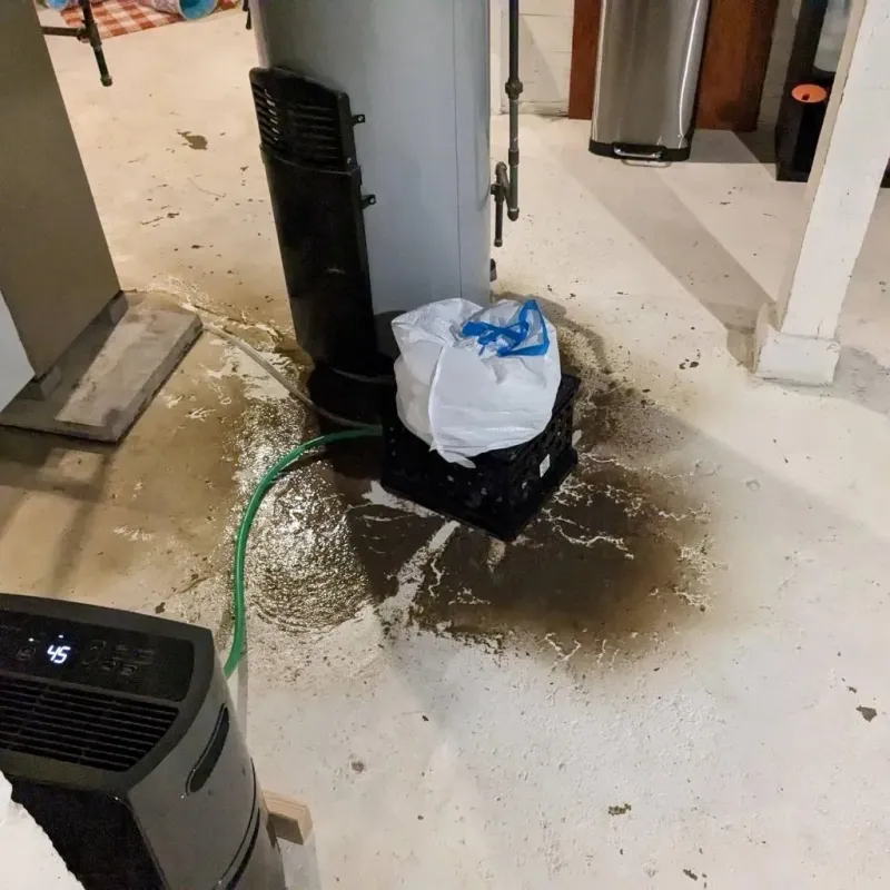 Sewage Backup Cleanup Service in Sullivan, IN